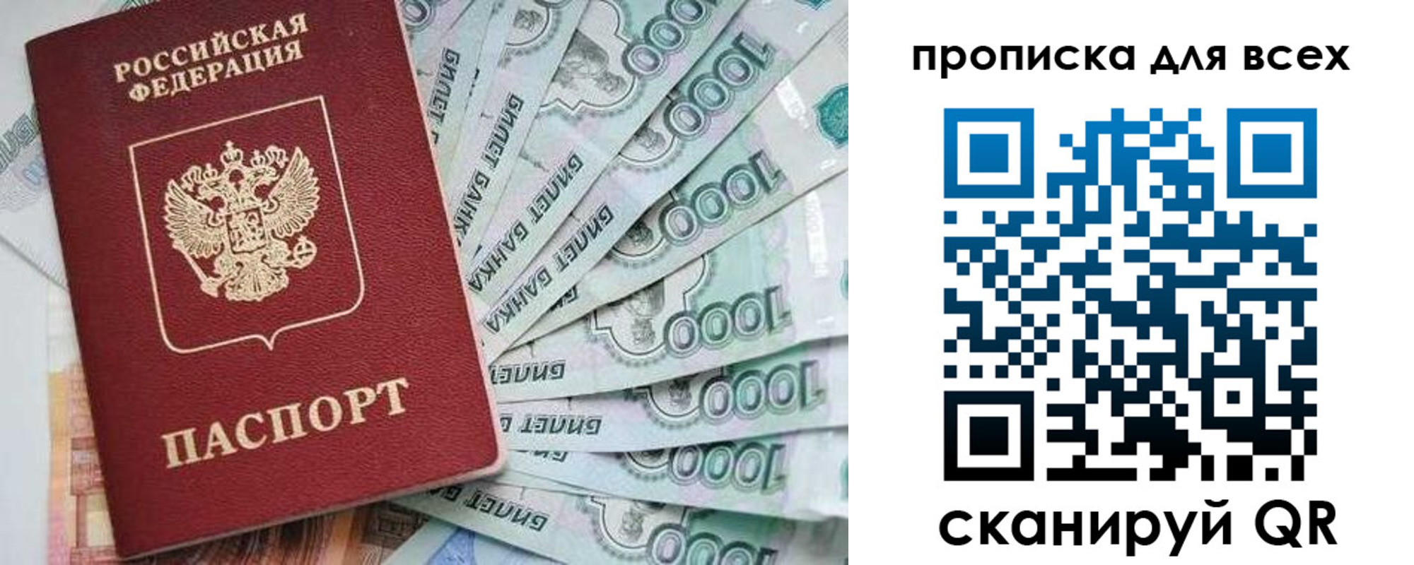 прописка гарантия в Гвардейске